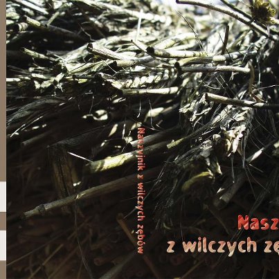  Środa Literacka. Promocja książki "Naszyjnik z wilczych zębów"