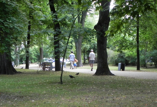 Joga w parku dla każdego. Po prostu przyjdź!