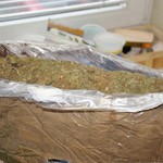 Białostoccy policjanci przejęli ponad 2 kg narkotyków