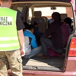 11 nielegalnych imigrantów zatrzymano w Podlaskiem