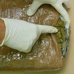 Paczka z Holandii. 27-latek chciał przewieźć 5 kilogramów marihuany
