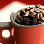Jedna kawa - kilka sposobów parzenia, czyli maniacy kawy w 