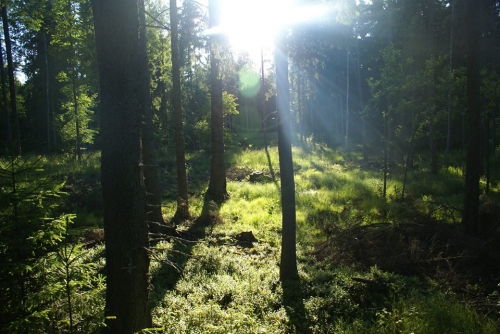 Casting do spotu promującego Podlasie