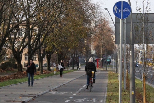 Więcej BiKeRów, więcej ścieżek i stacje serwisowe. Komitet Truskolaskiego za rowerzystami