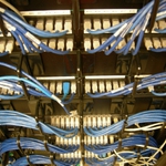 Bezpłatny internet w całym Białymstoku. Tego chcą nowi radni