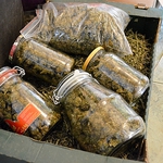 Policjanci CBŚ przejęli blisko 8,5 kg narkotyków