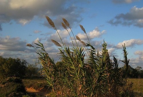 W środę 24°C i zachmurzenia