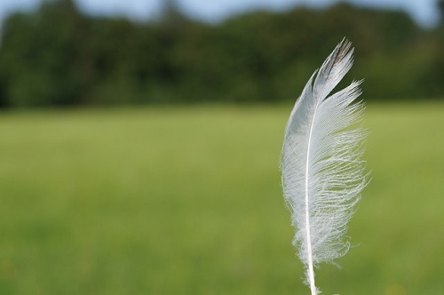 Temperatura powyżej 20°C i silniejszy wiatr