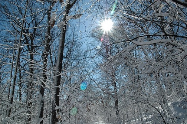 Temperatura wzrośnie do 5°C