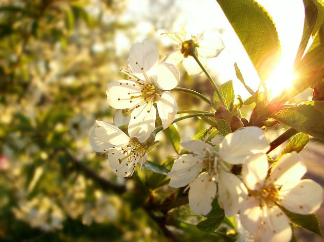 Dziś prawie 25°C i okresowe zachmurzenia