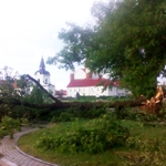 Po wichurach setki powalonych drzew w okolicach Białegostoku