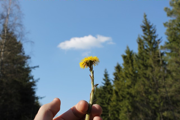 Niebo będzie pogodne i bezchmurne