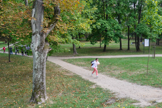 W parku i lesie zwierzynieckim powstaną ścieżki biegowe