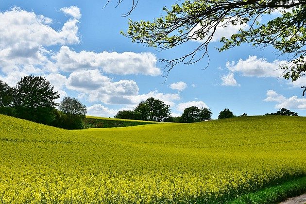 Wiosenne słońce nad miastem. Ciepły wtorek