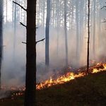 Najwyższy stopień zagrożenia pożarowego w lasach. Także w województwie podlaskim