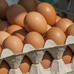 Uwaga - jajka skażone salmonellą trafiły do sklepów. Trzeba je zwrócić bądź wyrzucić
