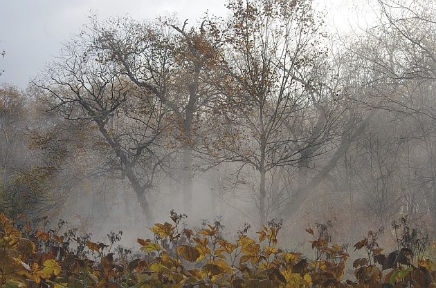 Przelotne opady deszczu i zachmurzenie. Ile stopni pokażą termometry we wtorek?