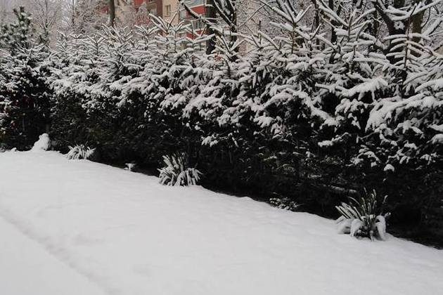 Pogoda na święta Bożego Narodzenia. Ile stopni pokażą termometry?