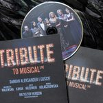 Tribute to musical. Damian Aleksander i jego goście