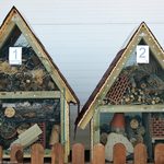 W Białymstoku powstaną domki dla owadów