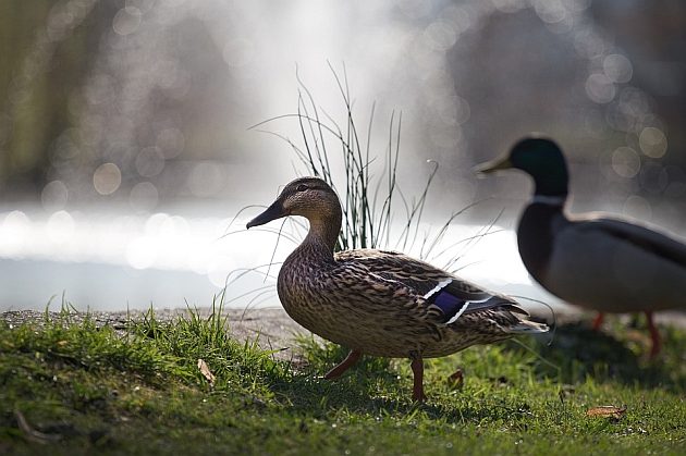 Pogoda na ostatni piątek czerwca