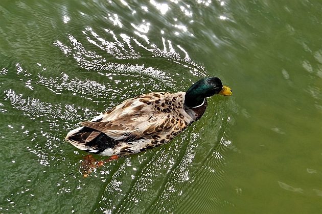 Pogoda na drugi weekend sierpnia. Pojawi się więcej słońca