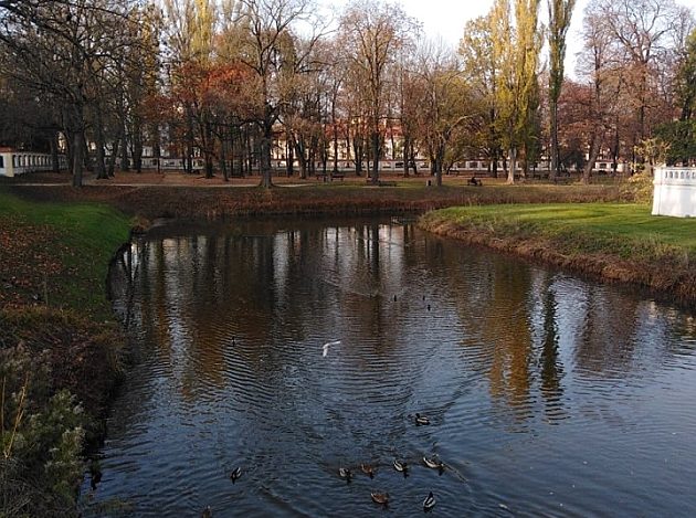 Robi się coraz chłodniej. Słońce już nie ogrzeje