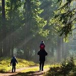 Czy spacer po lesie w czasie epidemii jest bezpieczny?