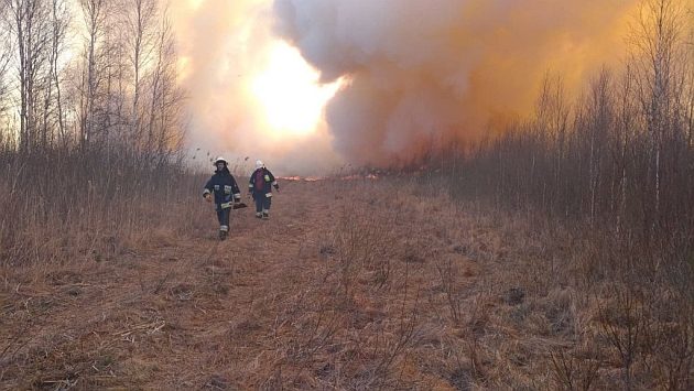 Pożar Parku rozprzestrzenia się, a chętni nie mogą pomóc w gaszeniu. Łuna aż w Białymstoku