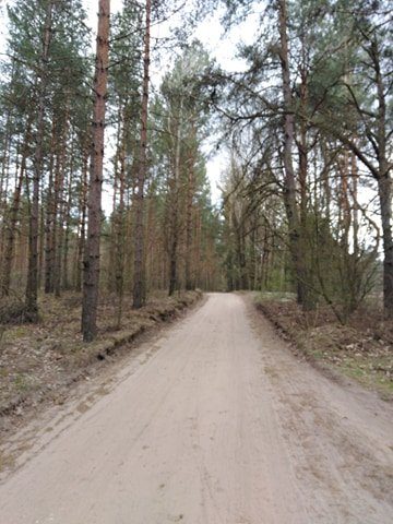 Skok temperatury, a spadek ciśnienia. Opadów wciąż brak