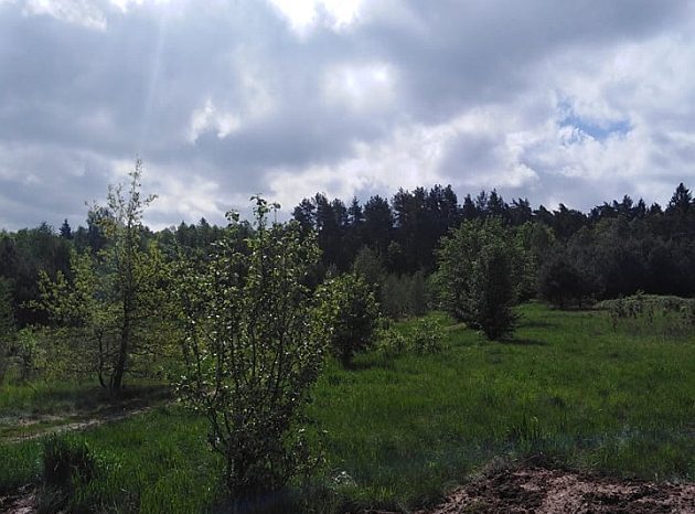 Burze nadciągają nad miasto