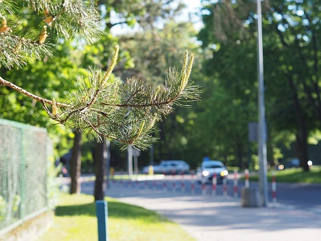 Trochę chmur, trochę słońca? Pogoda może spłatać figla