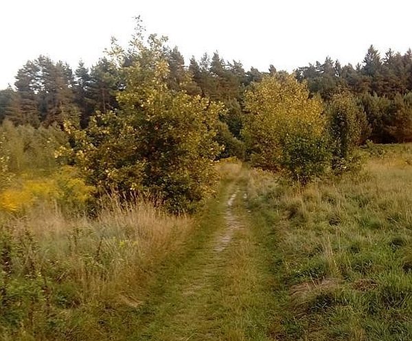 Spadek temperatury. Chmury będą przeplatane słońcem