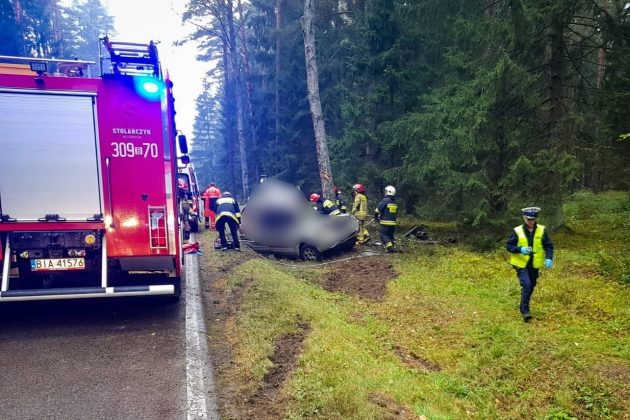 Kierowca zginął na miejscu. Auto wypadło z drogi, uderzyło w drzewo