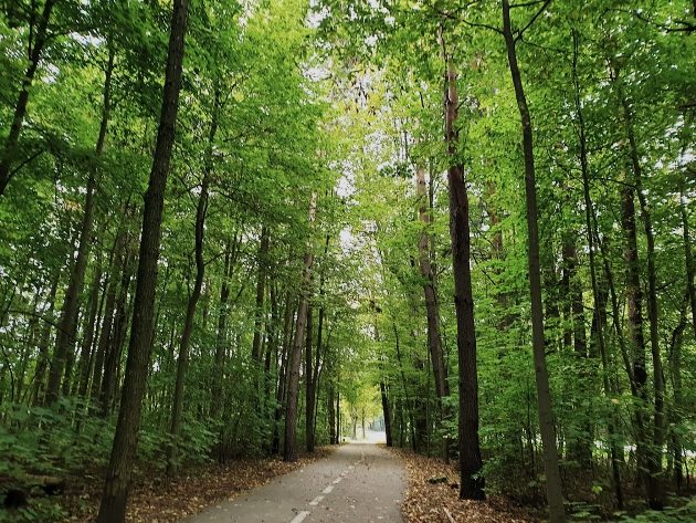 Gminy otrzymały dotacje. Powstanie m.in. nowy park, kort tenisowy oraz centrum aktywności