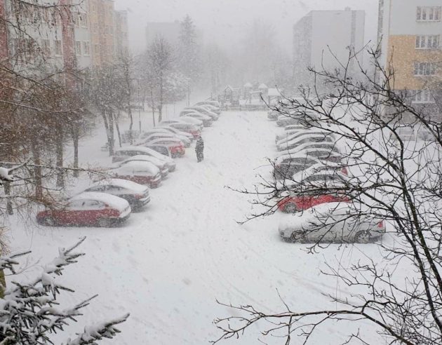 Koniec z mrozami. W środę temperatura już na plusie