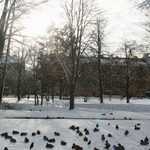 Kolejny spadek temperatury. W piątek odczuwalna sięgnie nawet -8°C