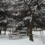 Śnieg wraca na Podlasie. W piątek progonozowane są opady