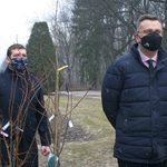 Białystok się zieleni. Miasto będzie rozdawać białostoczanom sadzonki drzew