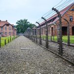Narodowy Dzień Pamięci Ofiar Obozów Koncentracyjnych