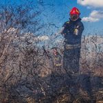 Średnie zagrożenie pożarowe w lasach. Zakazu wstępu jednak w Podlaskiem nie ma