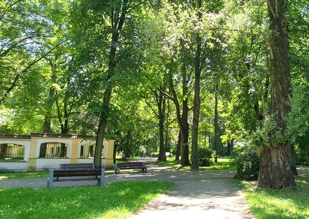 Gorący początek tygodnia. Mogą wystąpić burze