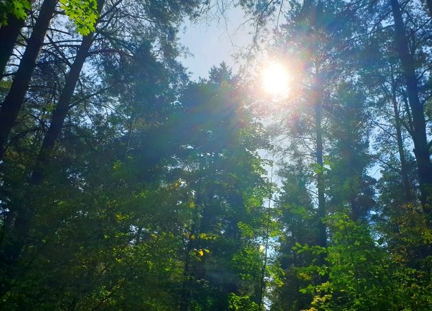 Końcówka tygodnia z dużą ilością słońca