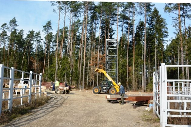 Zagroda dla żubrów. Jak idą prace w Kopnej Górze?