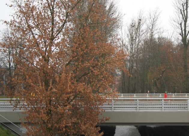 Zimno i mokro. Warto zaopatrzyć się w parasol