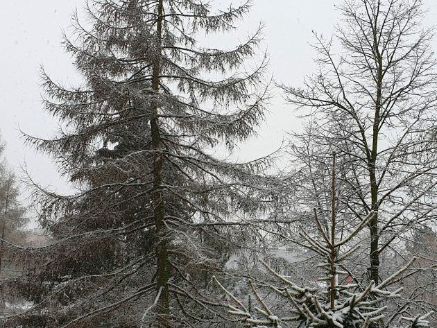 Piątek już znacznie cieplejszy. Tempertura na plusie