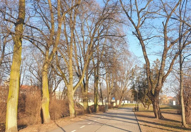 Środa pełna słońca. W mieście robi się coraz cieplej