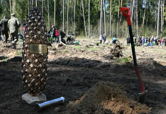 Akcja "Łączą nas drzewa". Zasadzili las i zakopali kapsułę czasu