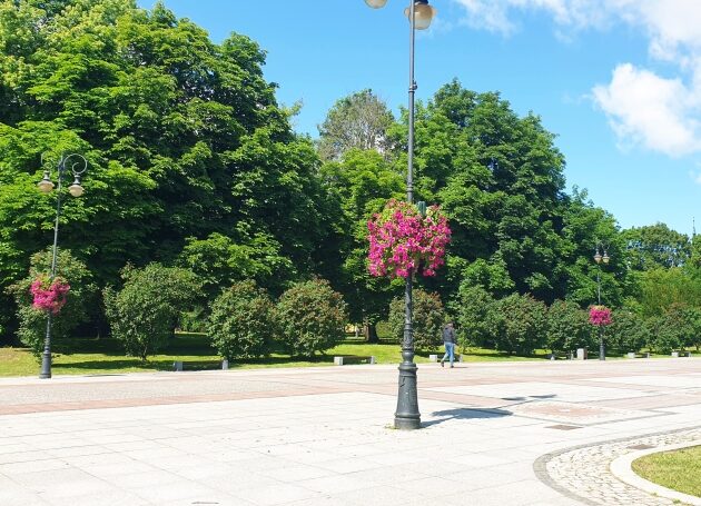 Słoneczna środa. Ile stopni wskażą termometry?