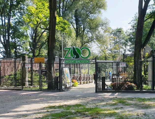 "Pożegnanie lata z Akcentem ZOO" – Miasto Białystok zaprasza na piknik